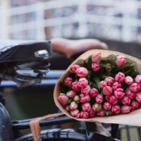 Florist Allambie Heights: Bringing Nature’s Vibrancy Indoors