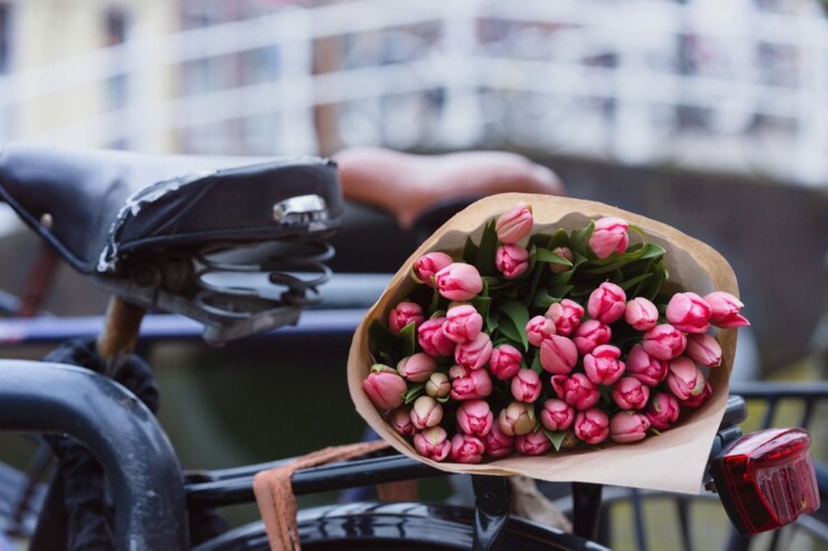 florist allambie heights