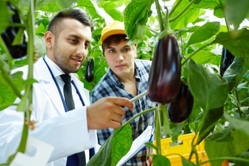food safety software companies